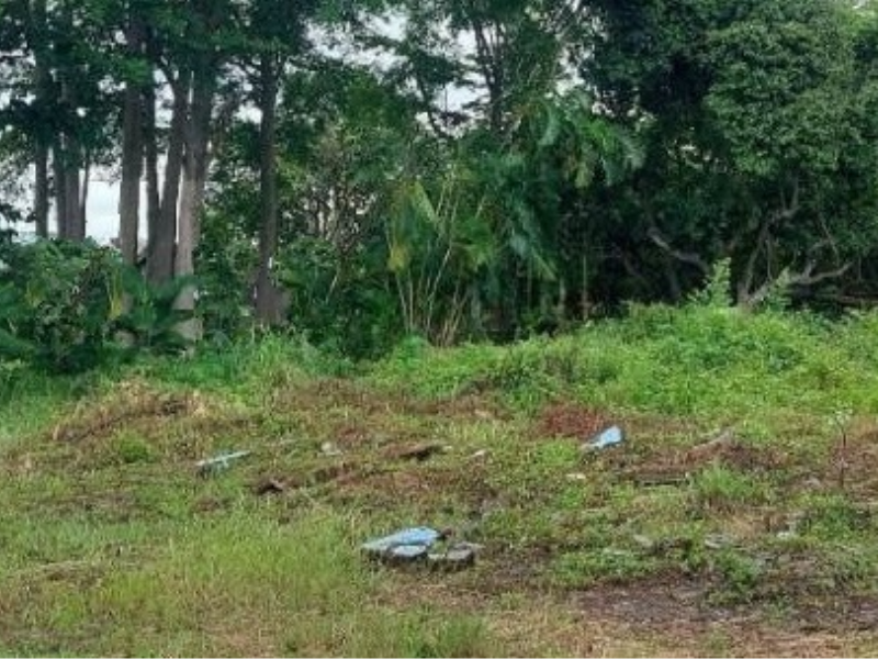 嘉義縣水上南靖建地  大面寬地形方正完整