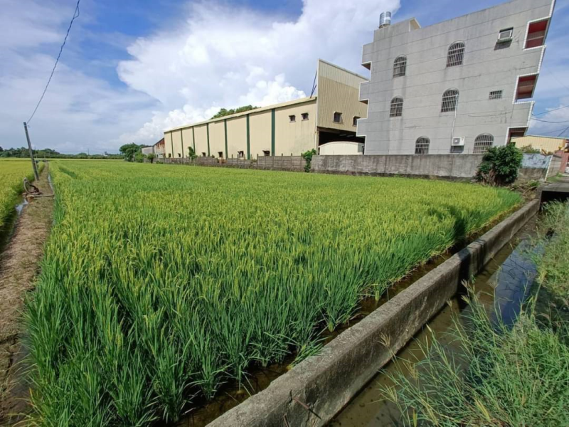 嘉義縣水上大馬路旁美農地  有水電雙面路地形方正