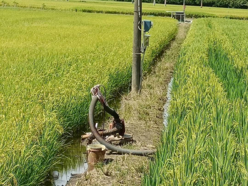 嘉義縣水上大馬路旁美農地  有水電雙面路地形方正