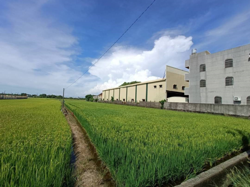 嘉義縣水上大馬路旁美農地  有水電雙面路地形方正