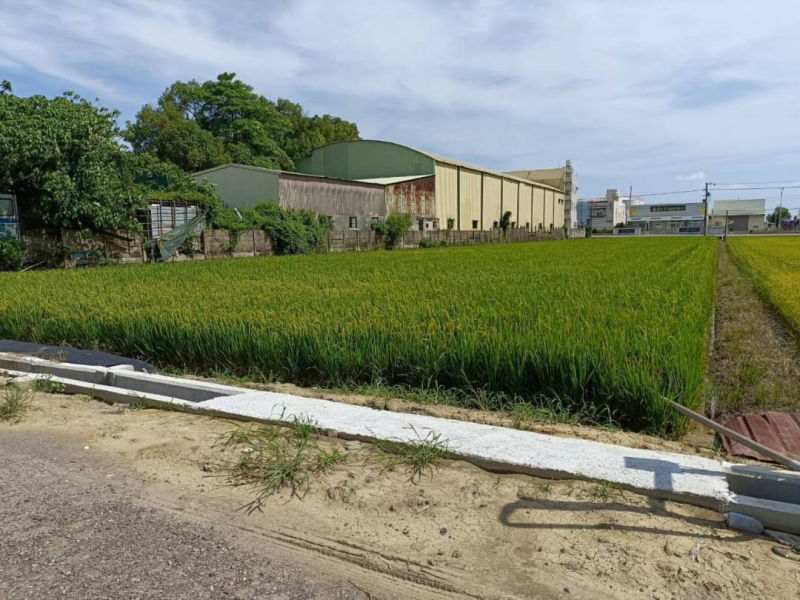 嘉義縣水上大馬路旁美農地  有水電雙面路地形方正