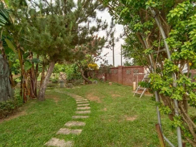 嘉義市林森東路都計內農地400坪  適倉庫渡假休閒小木屋