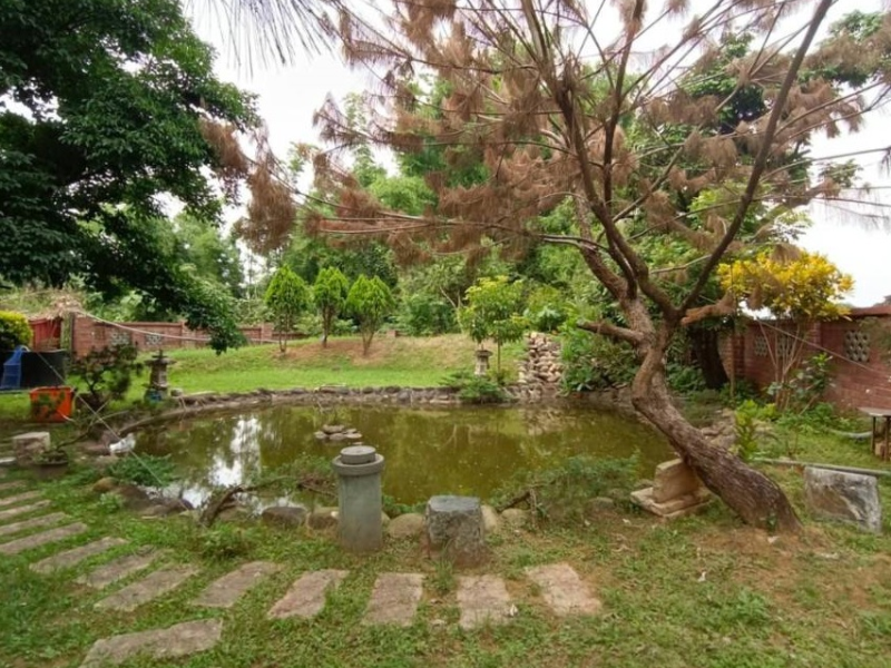 嘉義市林森東路都計內農地400坪  適倉庫渡假休閒小木屋