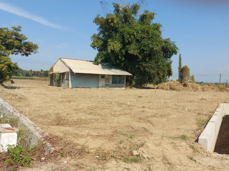 嘉義縣水上近南靖車站農地  適農舍開心農場貨櫃屋