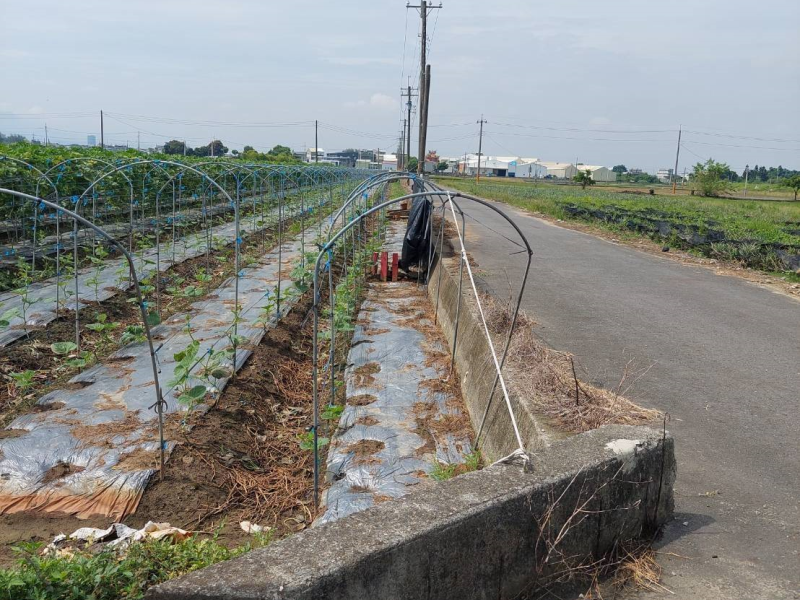 嘉義縣民雄菁埔3面路農地 有水電有鄰居適農舍