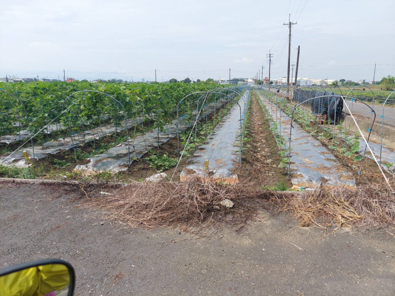 嘉義縣民雄菁埔3面路農地 有水電有鄰居適農舍