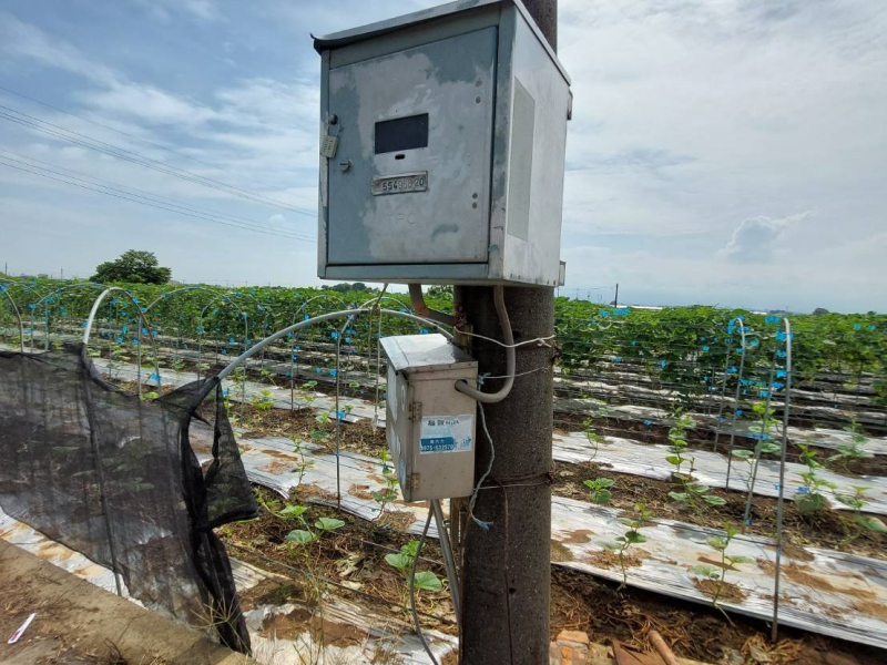 嘉義縣民雄菁埔3面路農地 有水電有鄰居適農舍