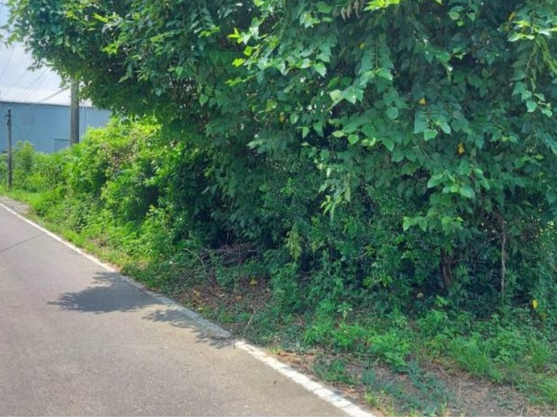 嘉義縣民雄台林街尾美農地 雙面路大面寬近嘉義市