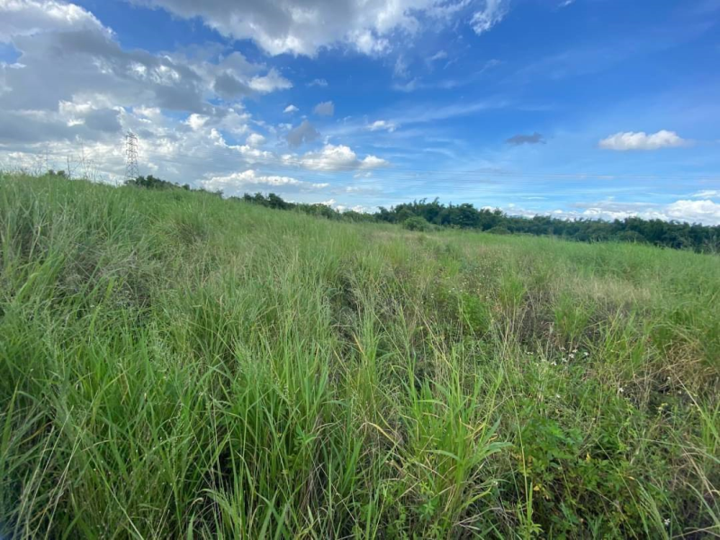 嘉義縣民雄北勢子萬坪農地  航太科技旁發展潛力讚