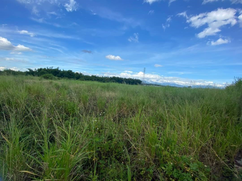 嘉義縣民雄北勢子萬坪農地  航太科技旁發展潛力讚