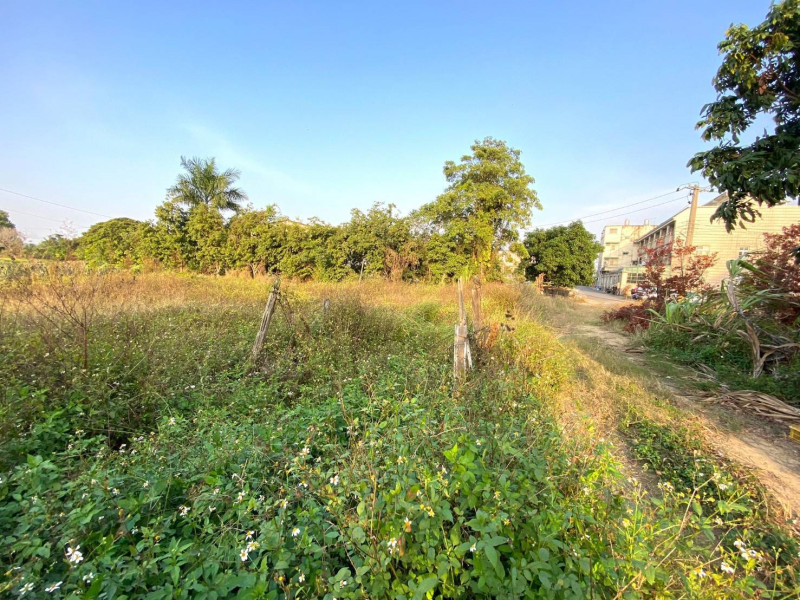 嘉義市西區大同路都計內美農地 有電自來水可接