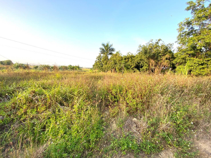 嘉義市西區大同路都計內美農地 有電自來水可接