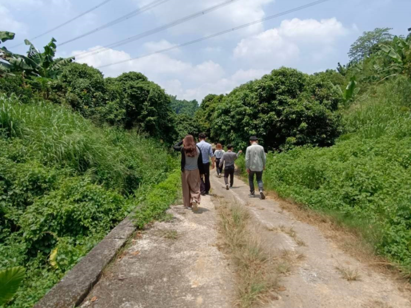 嘉義縣竹崎近二高農地2225坪 果園有香蕉柳丁酪梨