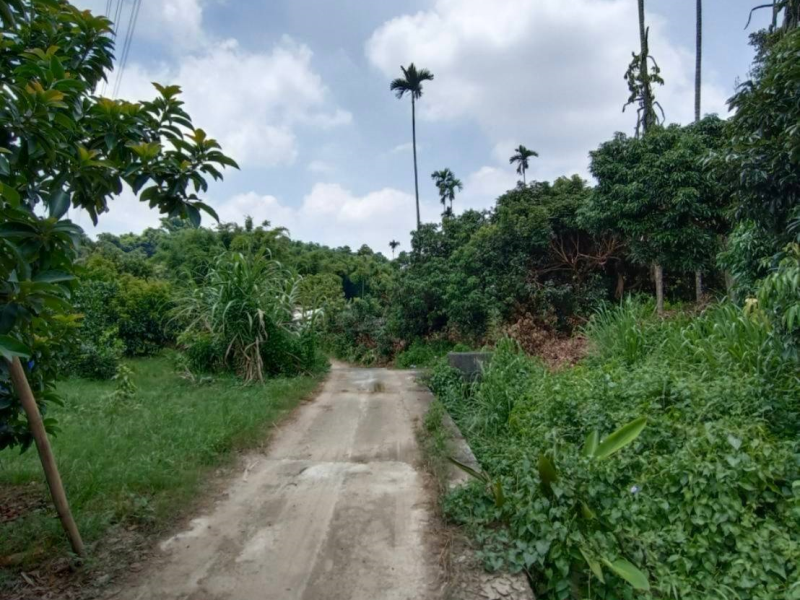 嘉義縣竹崎近二高農地2225坪 果園有香蕉柳丁酪梨