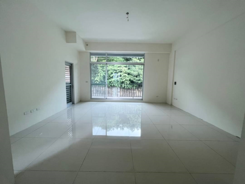 嘉義市東區大雅路全新大店住(二)  可停室內雙車室外雙車