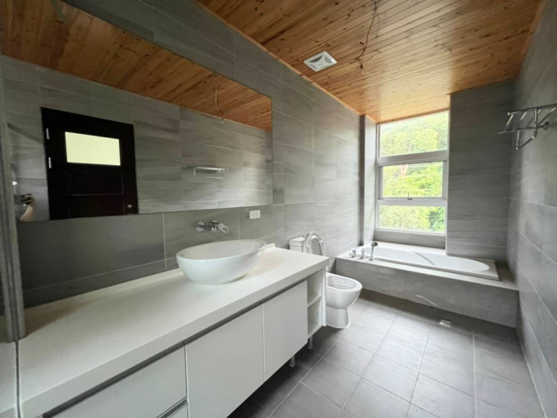 嘉義市東區大雅路全新大店住(二)  可停室內雙車室外雙車