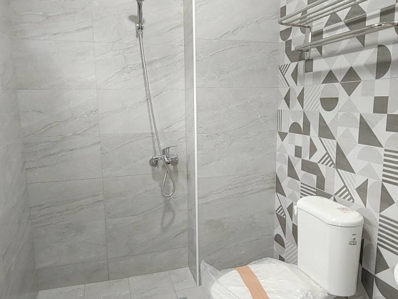 嘉義市東區大業國中透天 全新整理採光通風好