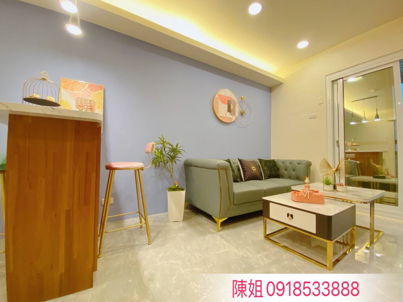 嘉義市西區北園國小美三房 全新整理採光通風佳