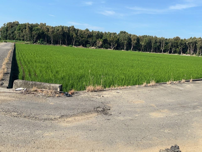 嘉義縣太保市埔心三角窗農地