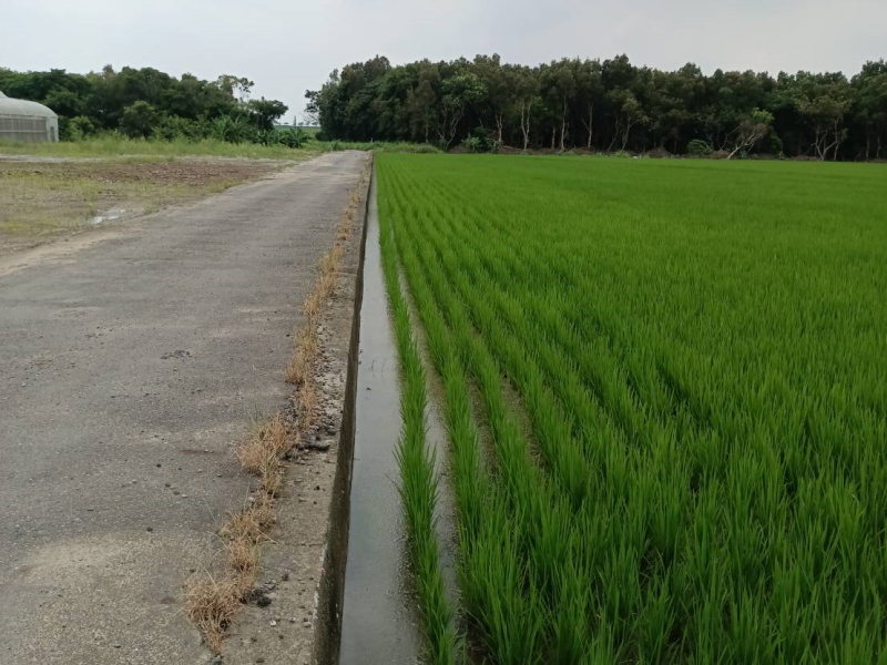 嘉義縣太保市埔心三角窗農地