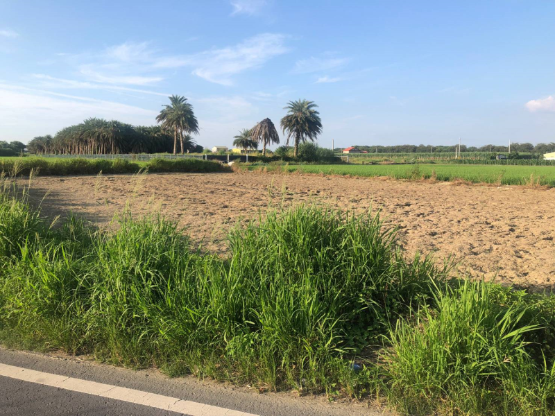 嘉義市區都計小筆農地 可做倉儲開心農場