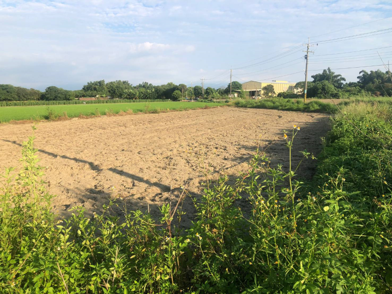 嘉義市區都計小筆農地 可做倉儲開心農場