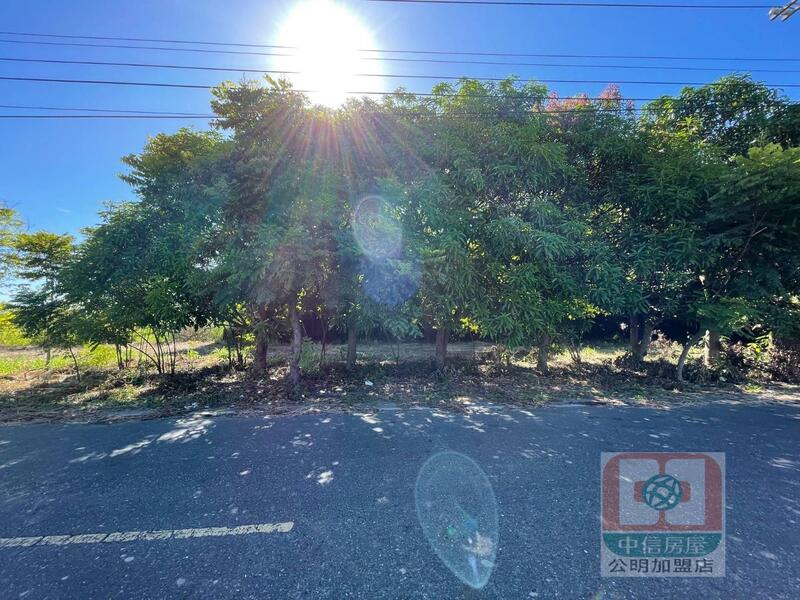 嘉義縣太保市高鐵站旁美建地 大面寬大路邊好規劃