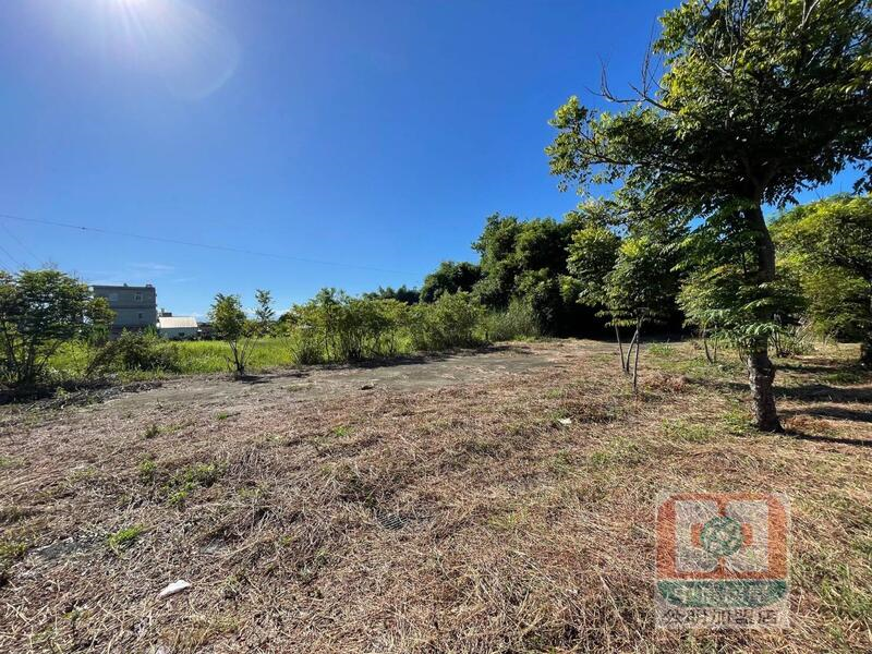 嘉義縣太保市高鐵站旁美建地 大面寬大路邊好規劃