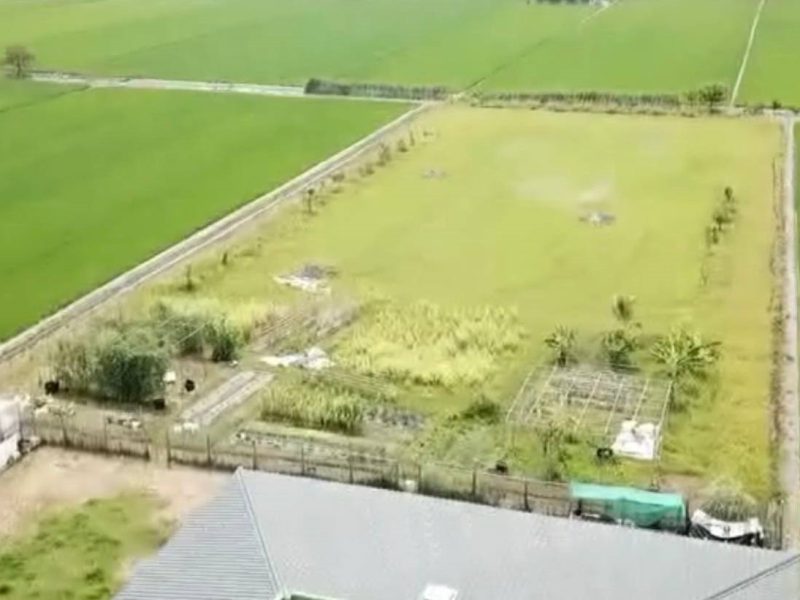 嘉義縣民雄菁埔開心休閒度假農地  有RC建造美平房