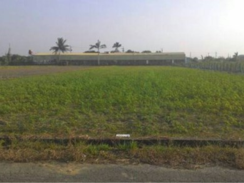 嘉義縣水上鄉下寮段農地935坪 近嘉義市新民路尾