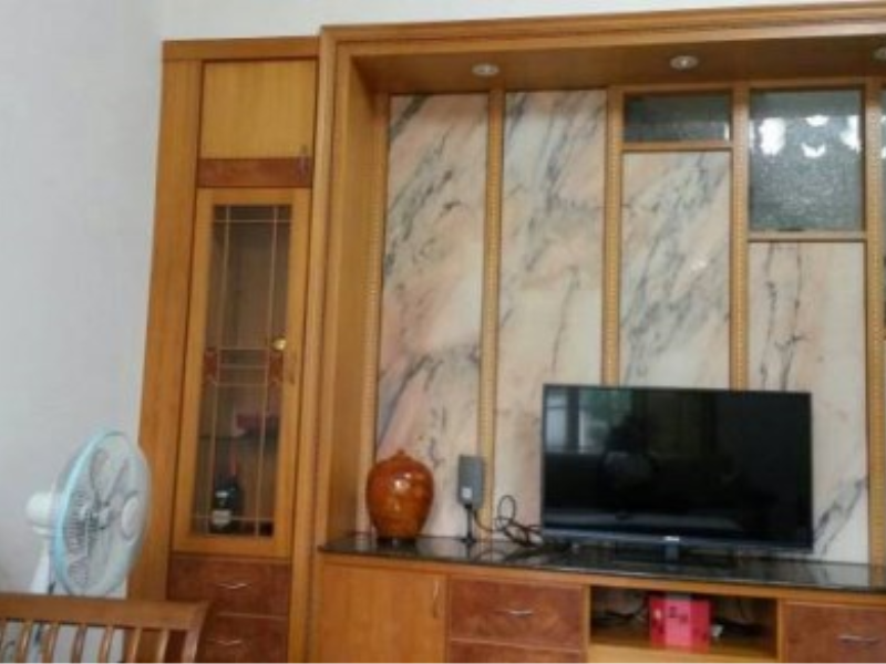 嘉義縣民雄中正大學農舍別墅 正大學路高級建材田園造景