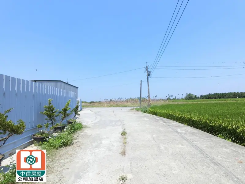 嘉義縣水上鄉新番子寮農地1668坪 大面寬投資自用兩相宜