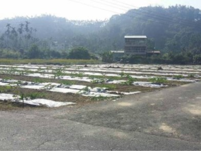 嘉義縣中埔石頭厝三角窗農地1351坪 距交流道6分鐘車程