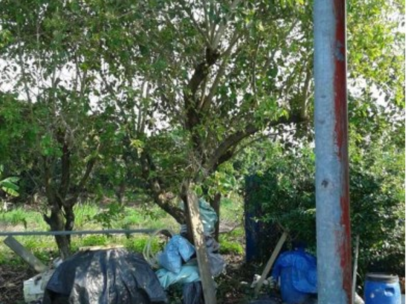 嘉義縣竹崎頂埔近內埔老街土地1160坪 大路邊15米路