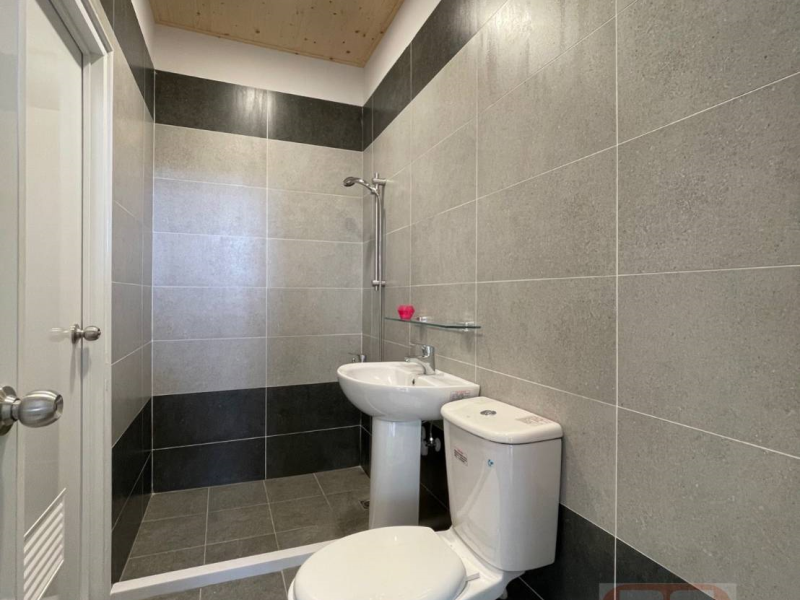 嘉義縣民雄鄉公所邊間別墅 全新整修有大車庫