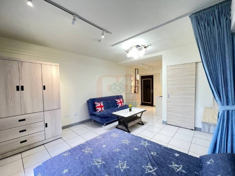 嘉義市興嘉羅曼第套房 全新裝潢採光屋況佳